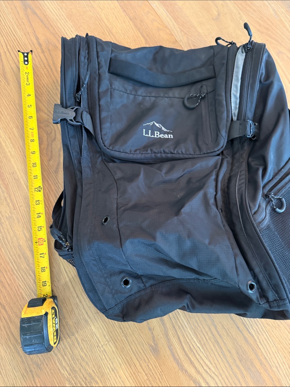 L.L. Bean Black ski boot Backpack